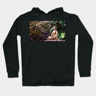 Buddha meditating in the forest Hoodie